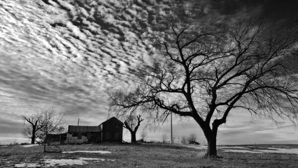 Shenjat e kohëve që jetojmë